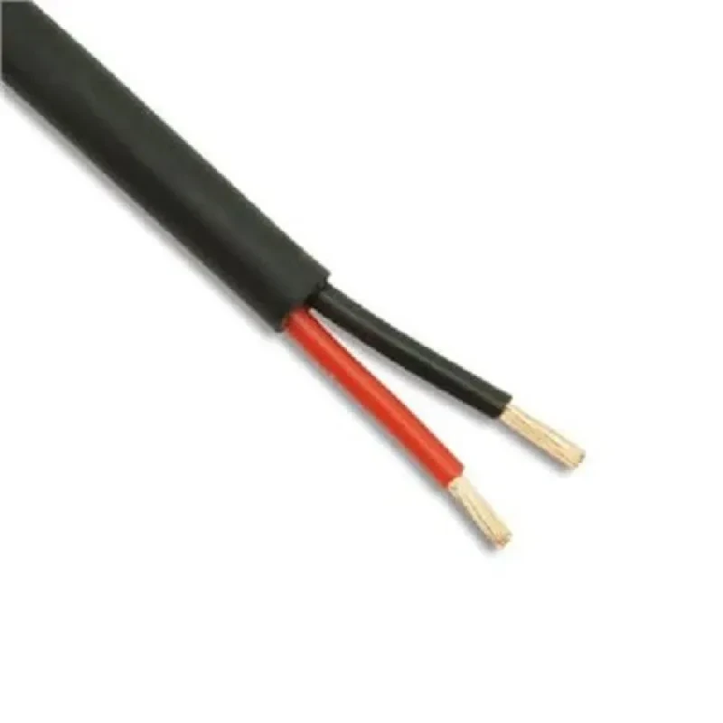 Polycab 4 Sqmm 2 Core FR PVC Insulated Industrial Flexible Cable Black (100 Mtrs)