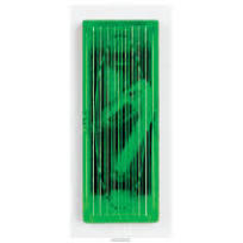 ANCHOR ROMA Green Neon Indicator(Pack of 2)