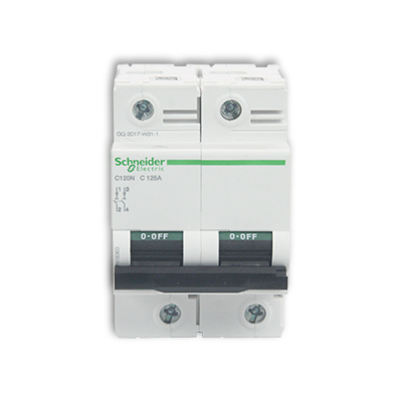 Schneider MCBs - AC - C120 N(10kA) - 2 Pole - 125A (A9N18363)