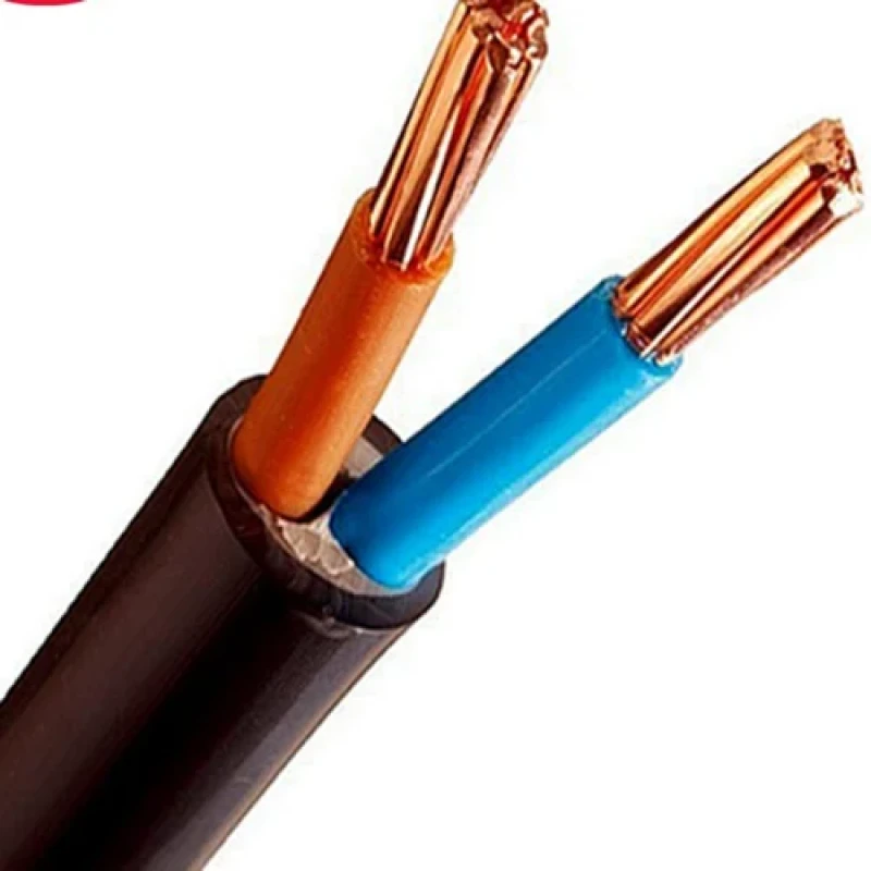 Polycab 16 Sqmm 2 Core FR PVC Insulated Industrial Flexible Cable Black (1Mtrs)