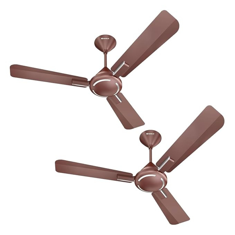 Havells 1200mm Ambrose ES Ceiling Fan | Premium Finish (Pack of 2)