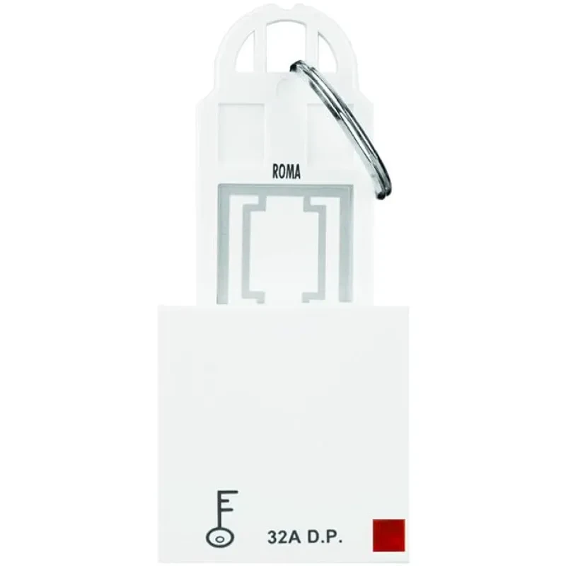 ANCHOR ROMA Polycarbonate Roma D.P. Main Switch With Pc Keyring Tag 2 Module 32 Amp 240V