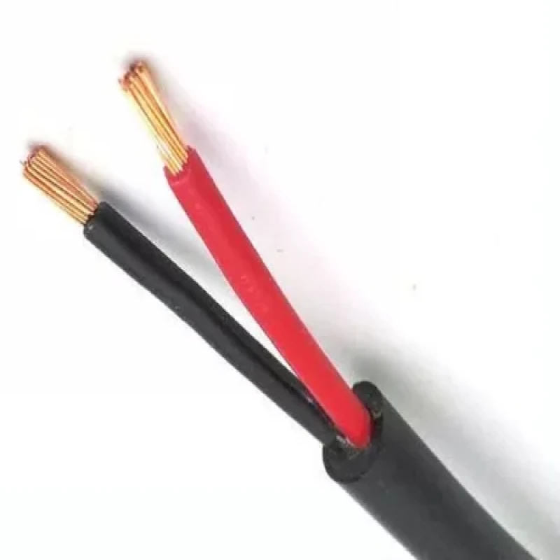 Polycab 10 Sqmm 2 Core FR PVC Insulated Industrial Flexible Cable Black (100 Mtrs)