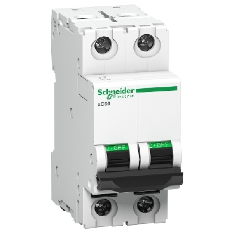 Schneider D Curve MCBs - xC60 -2 Pole - 16A (A9N2P16D)