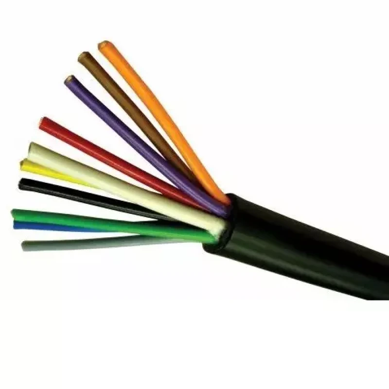 Polycab 0.75 Sqmm 10 Core FR PVC Insulated Industrial Flexible Cable Black (100 Mtrs)