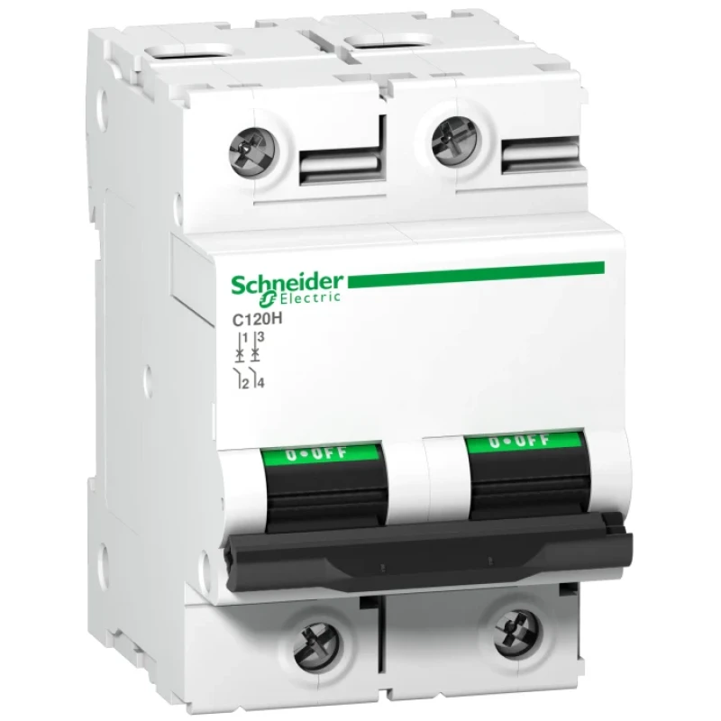 Schneider MCBs - AC - C120 H (15kA) - 2 pole - 125A (A9N18459)