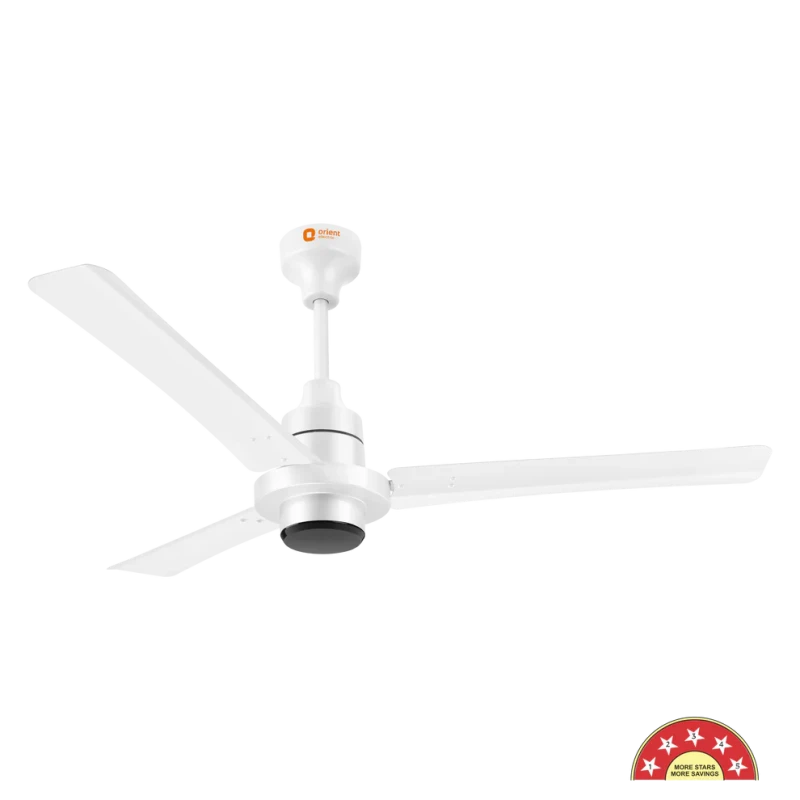 Orient: Ecotech Supreme 1200mm Energy Efficient BLDC Ceiling regulator Fan