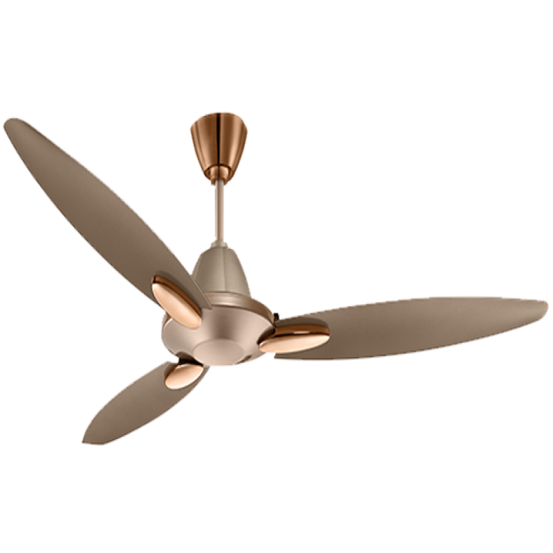 Usha Bloom Daffodil Goodbye Dust Ceiling Fan 1250mm