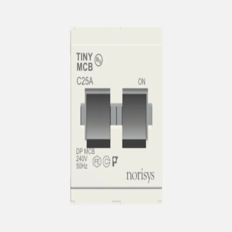 NORISYS CUBE Series Tiny MCB Double Pole 25A
