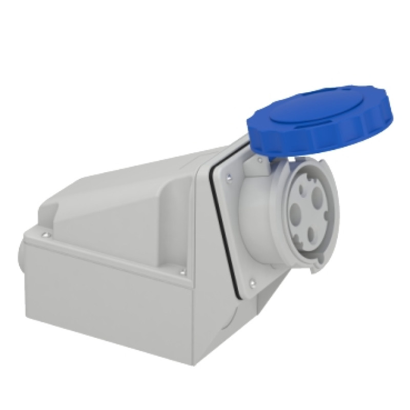 Schneider - 63 A - 2P + E Industrial socket - IP67 200...250 V AC (81178)