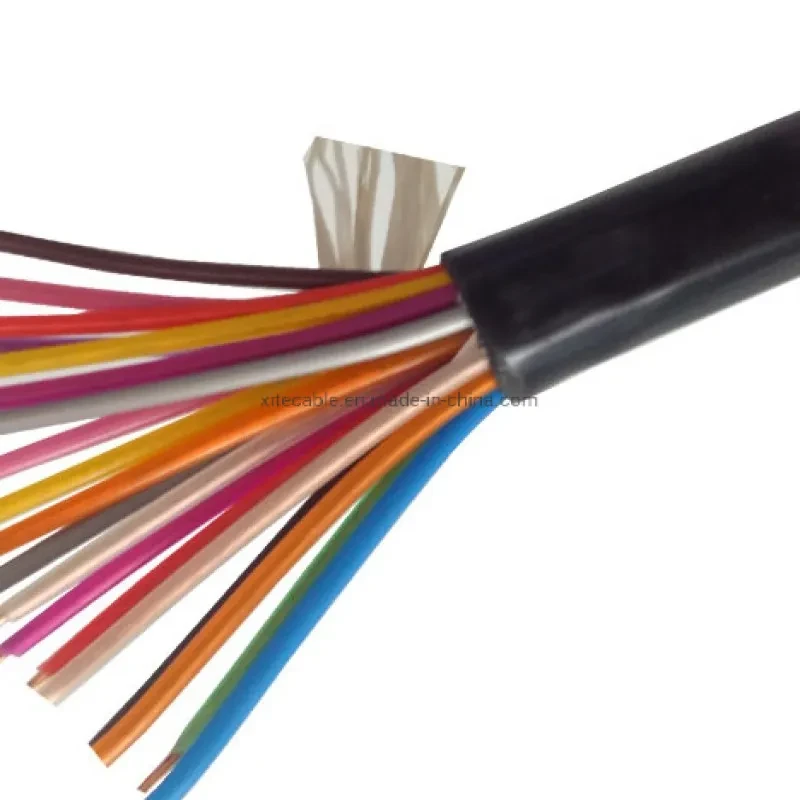 Polycab 0.50 Sqmm 24 Core FR PVC Insulated Industrial Flexible Cable Black (1Mtrs)