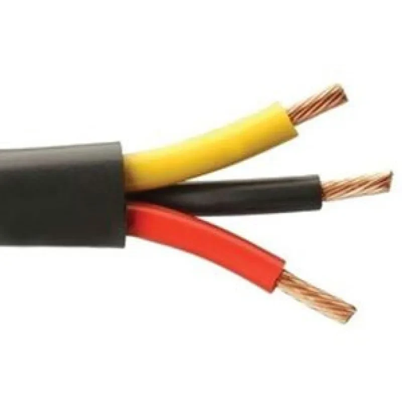 Polycab 10 Sqmm 3 Core FR PVC Insulated Industrial Flexible Cable Black (100 Mtrs)
